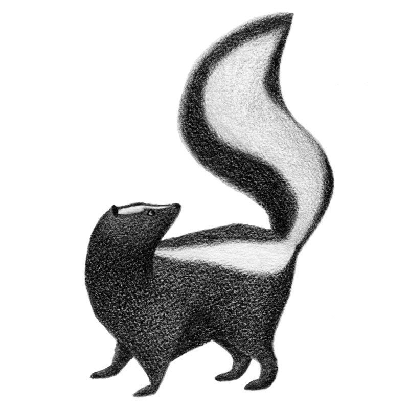 A Tail and a Skunk 4x6 print by ZoeTilleyPoster on Etsy