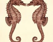 Vintage Sea Horses, Sea Life, Wall Decor, Marine Life illustration, Art Print 8 x 10