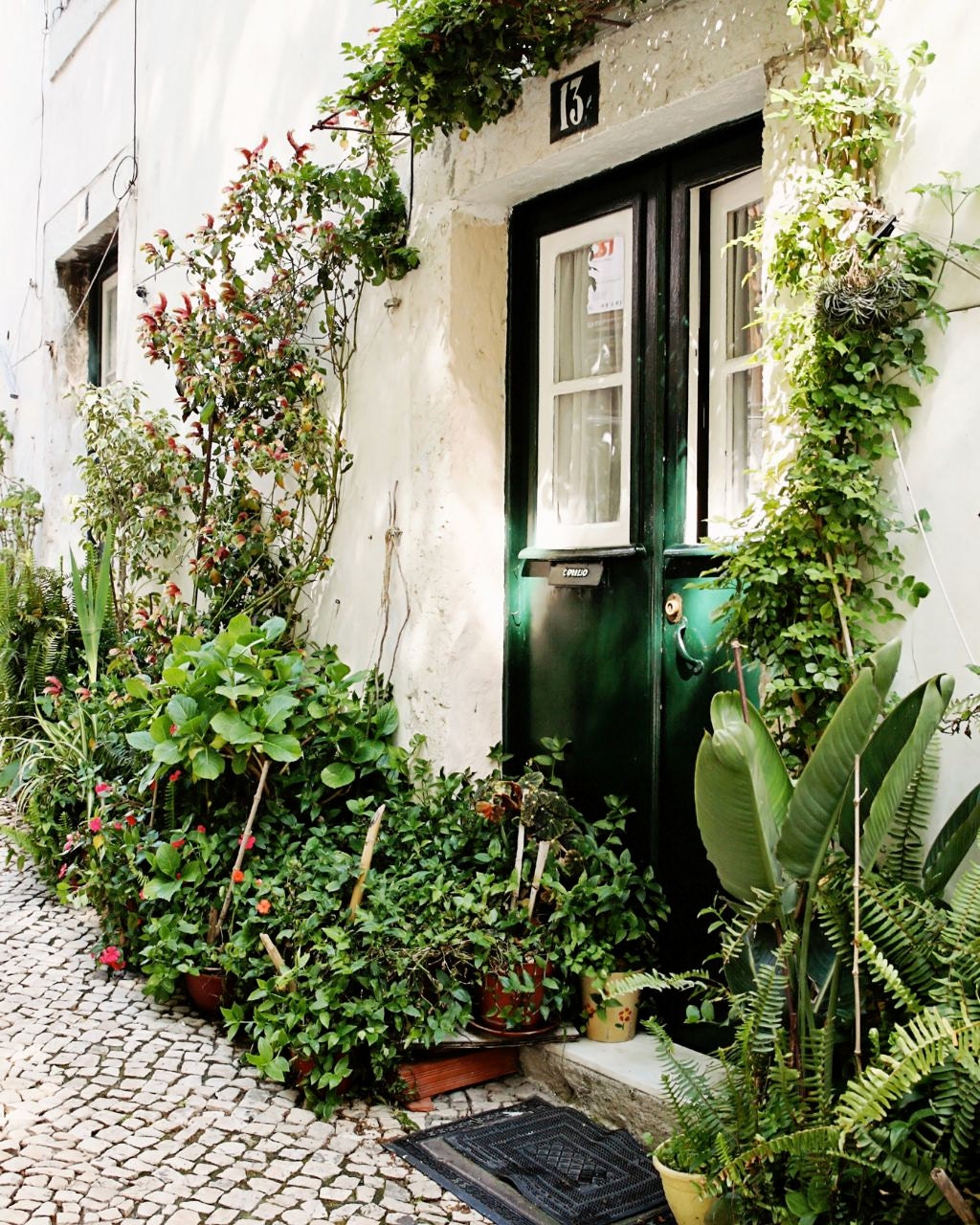Green Door Photograph - Portugal Photography - Emerald Print - Lush Garden Wall Art Travel Photo - Summer Decor - Fresh Wall Art Ferns - VitaNostra