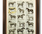 DECORATIVE ART, HORSE Decor Horse Wall Art Horse Illustration Horse Drawing Horse Lover Gifts Book Page Print - What's Wrong with the Horses