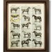 DECORATIVE ART, HORSE Decor Horse Wall Art Horse Illustration Horse Drawing Horse Lover Gifts Book Page Print - What's Wrong with the Horses