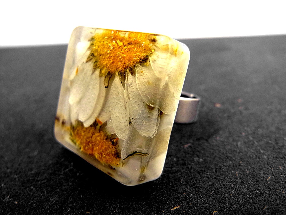 Real daisies square ring - bronze OR silver color, adjustable
