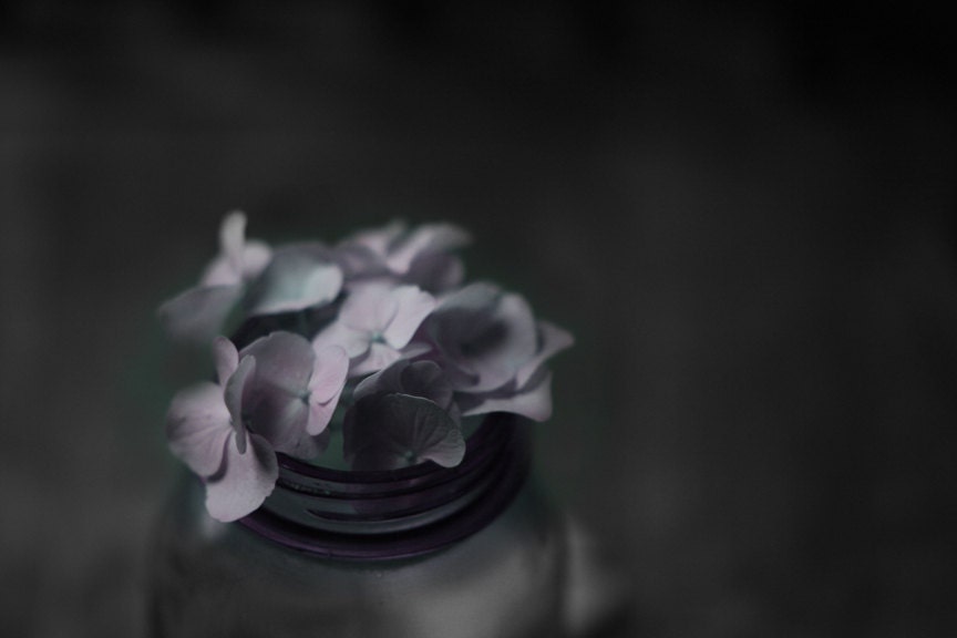 Still Life Photography of a Purple Jar and Hydrangea - lucysnowephotography