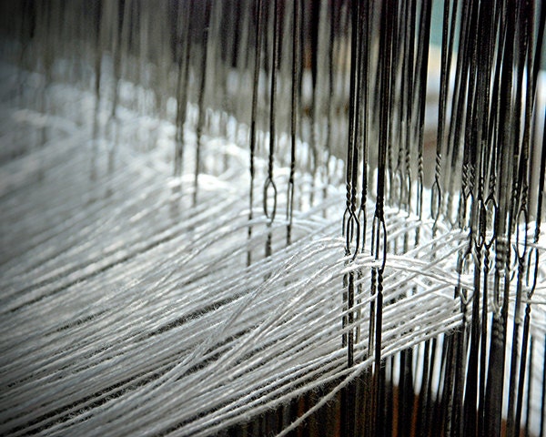 Weaving Loom Heddles and Warp Threads photo 8x10 print - ladylucy
