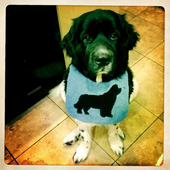 Items similar to Newfoundland DOG drool Bib Quality fabric will