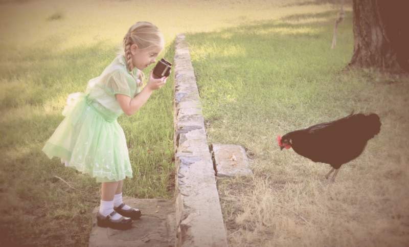Portrait of a girl taking photo of hen with vintage Brownie camera, Farm Life, Emerald- Pale Green, Wall Decor, Nursery - KarieJorgensen