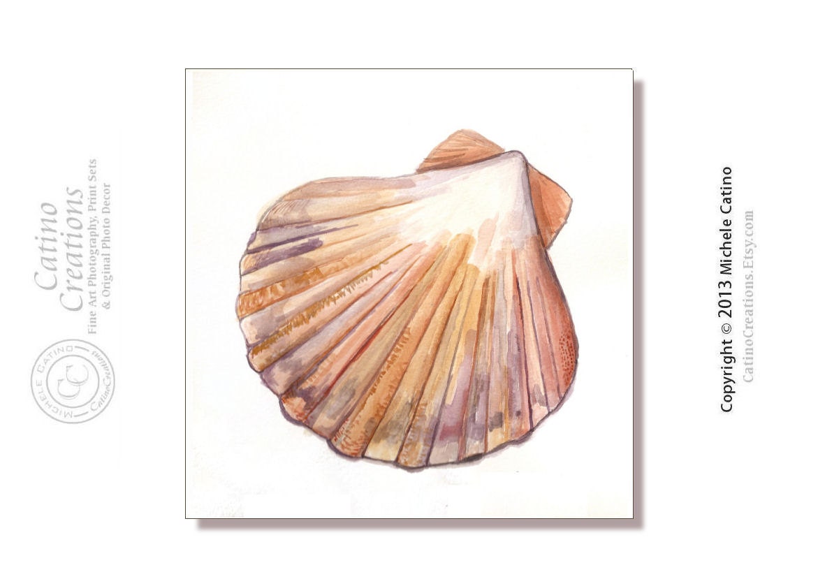 Orange Scallop Sea Shell Watercolor Print Beach Shells Clam shell art Orange Purples Watercolor signed print - CatinoCreations