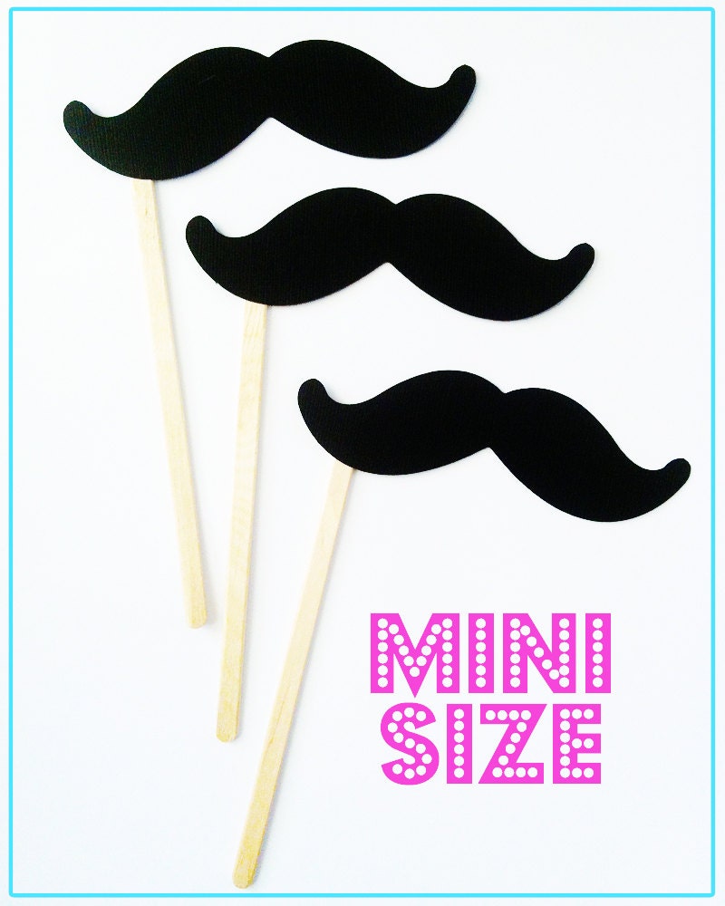 12 Kid Friendly Mustaches on a Stick - Photo Booth Props - Mini Mustache Party Favors - Little Man Party Il_570xn