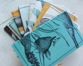 All About Fish Slim Wallet- Choose 1