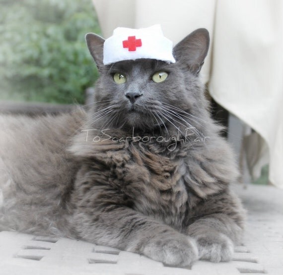 Nurse Cat Hat Vintage Syle Pet Nurse by ToScarboroughFair on Etsy