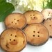 6 Big Red Cherry Wooden Tree Branch Buttons - 2 1/8 to 2 1/4 inches For Sweaters, Cowls, Scarves, Handbags, Mug Cozies