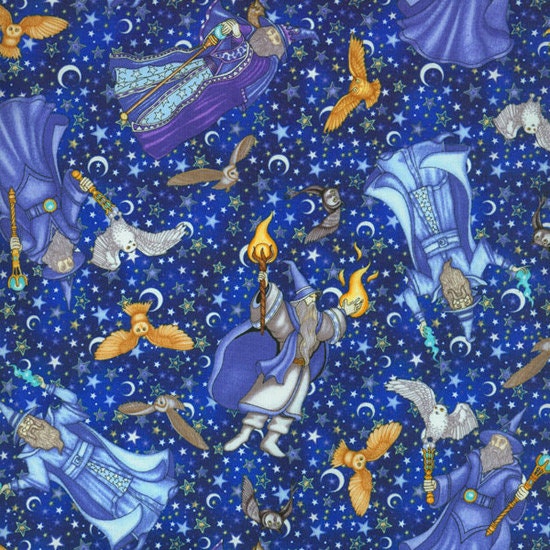 Enchanted Kingdom Fabric by RJR Fabrics Wizards by AllegroFabrics