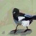 Magpie original bird oil painting by moulton 6 x 6 inches on panel  prattcreekart