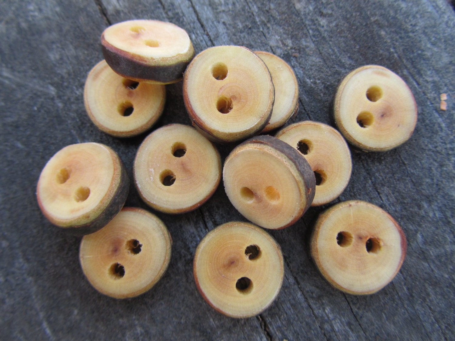 12 Birch Buttons.  Just Over .50 Inches Wide.