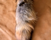 Moving Shop Sale - Recycled Coyote Fur Tail for Keychain or Belt Loops