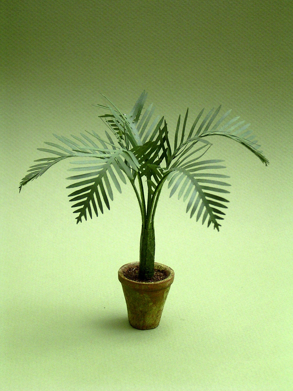 Laser Cut Palm Tree kit