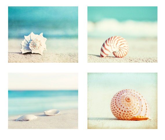 Beach Photography Set - Four Photographs, seashell sea shell photo print seashore decor turquoise aqua teal blue wall art - 11x14, 8x10, 5x5