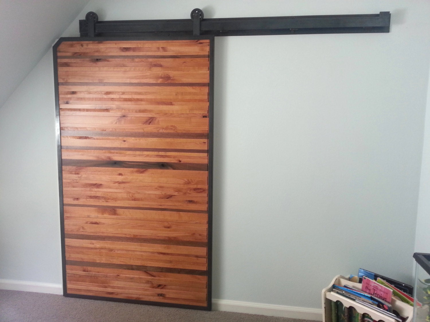 Modern Barn Doors