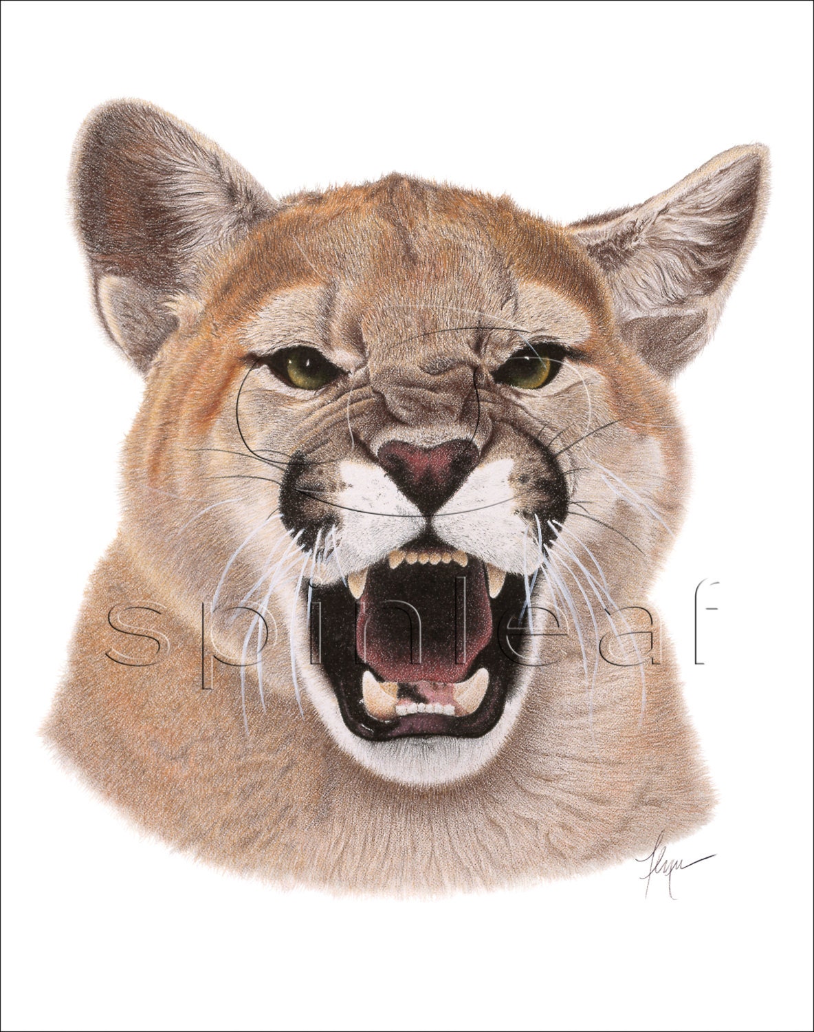 puma art