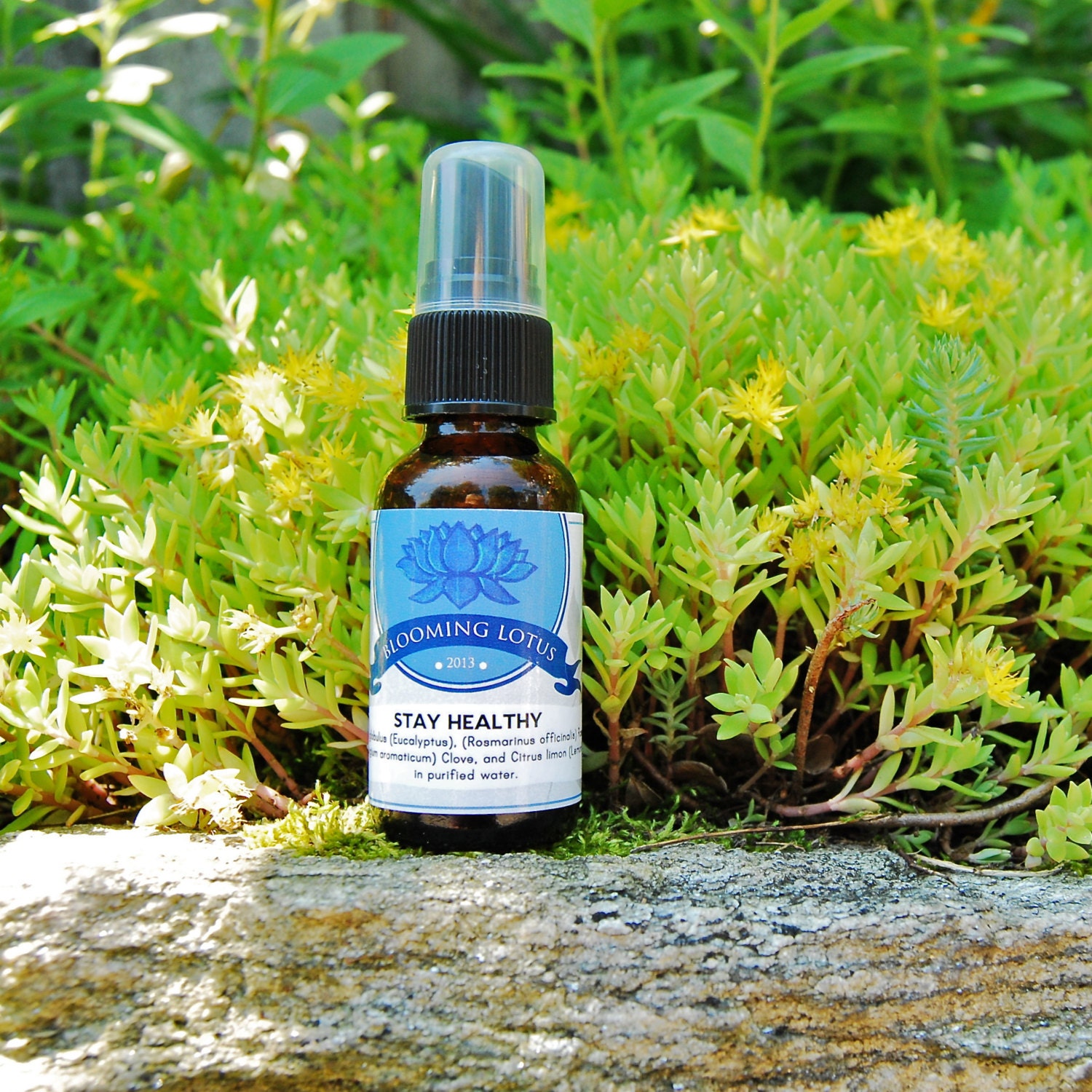 Stay Healthy Aromatherapy Blend - Spritzer