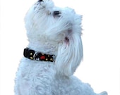 Dog Collar Tutorial PLUS Video and BONUS--Make it Yourself, Instructional EBook, Instant Download