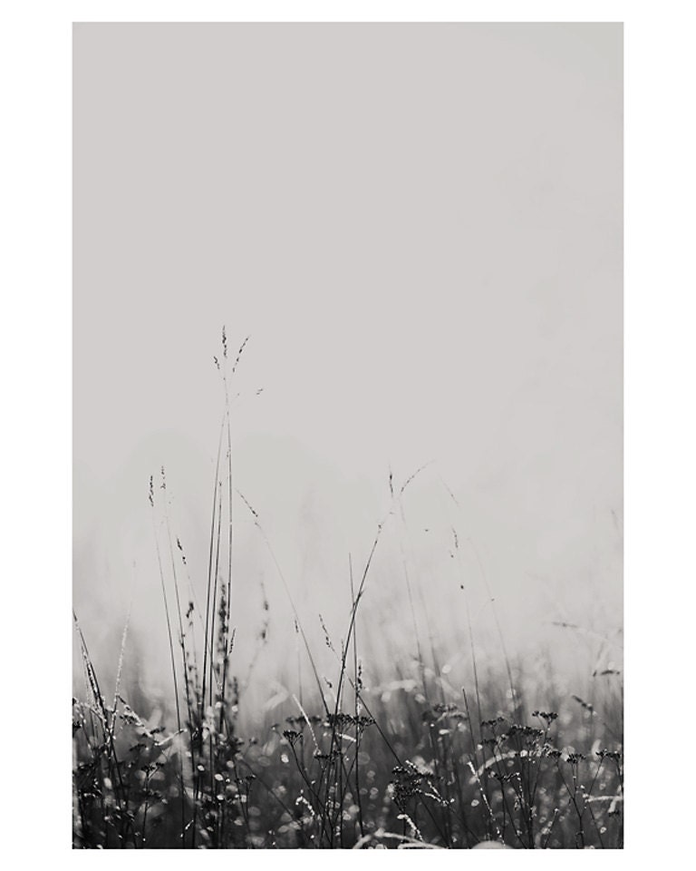 winter fog grass dew black and white photo print - whimsical fine art nature photography, cold, bokeh, shimmer, silver, field, peaceful - oohprettyshiny