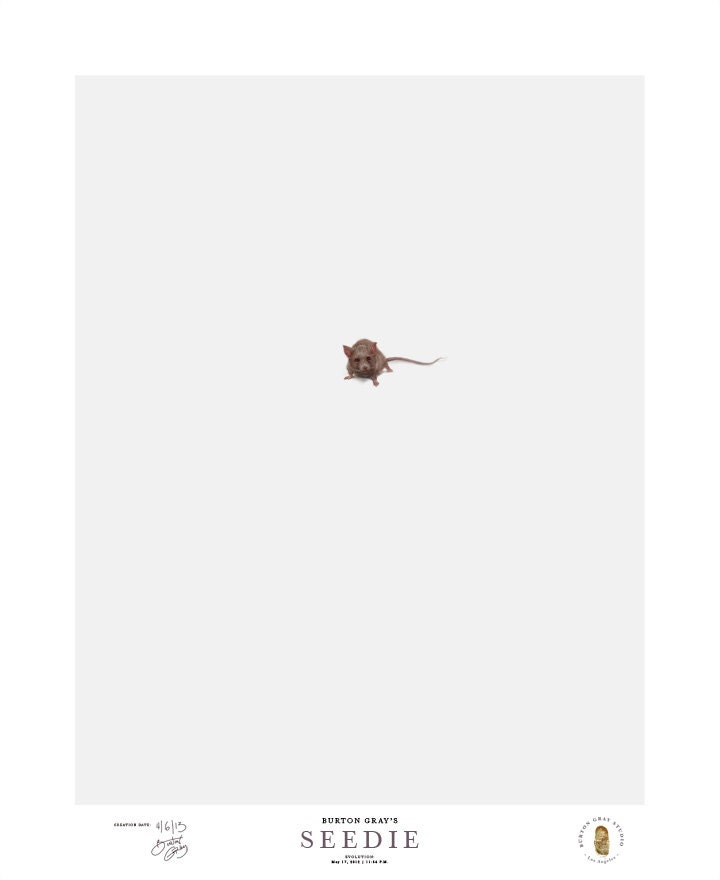 Seedie, The Little Brown Mouse - Unframed, 36x44 inch giclÃ©e print of the Burton Gray original work. - BurtonGrayStudio