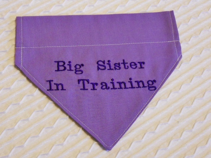 Big SISTER In Training Dog Bandana COLLAR by MakeMeSmileCrafts