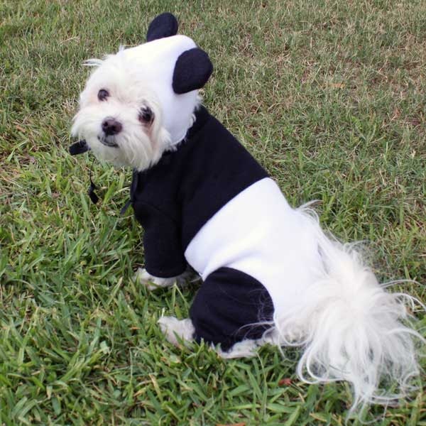 Panda Bear Pet Halloween Costume for Dogs by LittleDogFashion