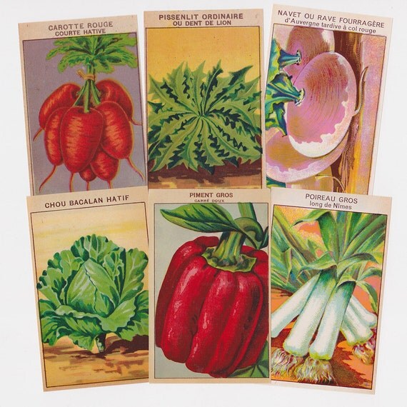 Unavailable Listing on Etsy