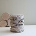 natural white birch wood slices for diy projects - set of 10