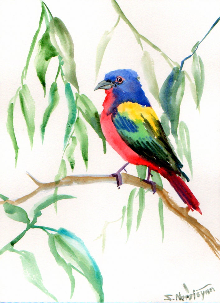 Painted Bunting original watercolor painting 12 X by ORIGINALONLY