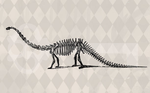 brontosaurus skeleton