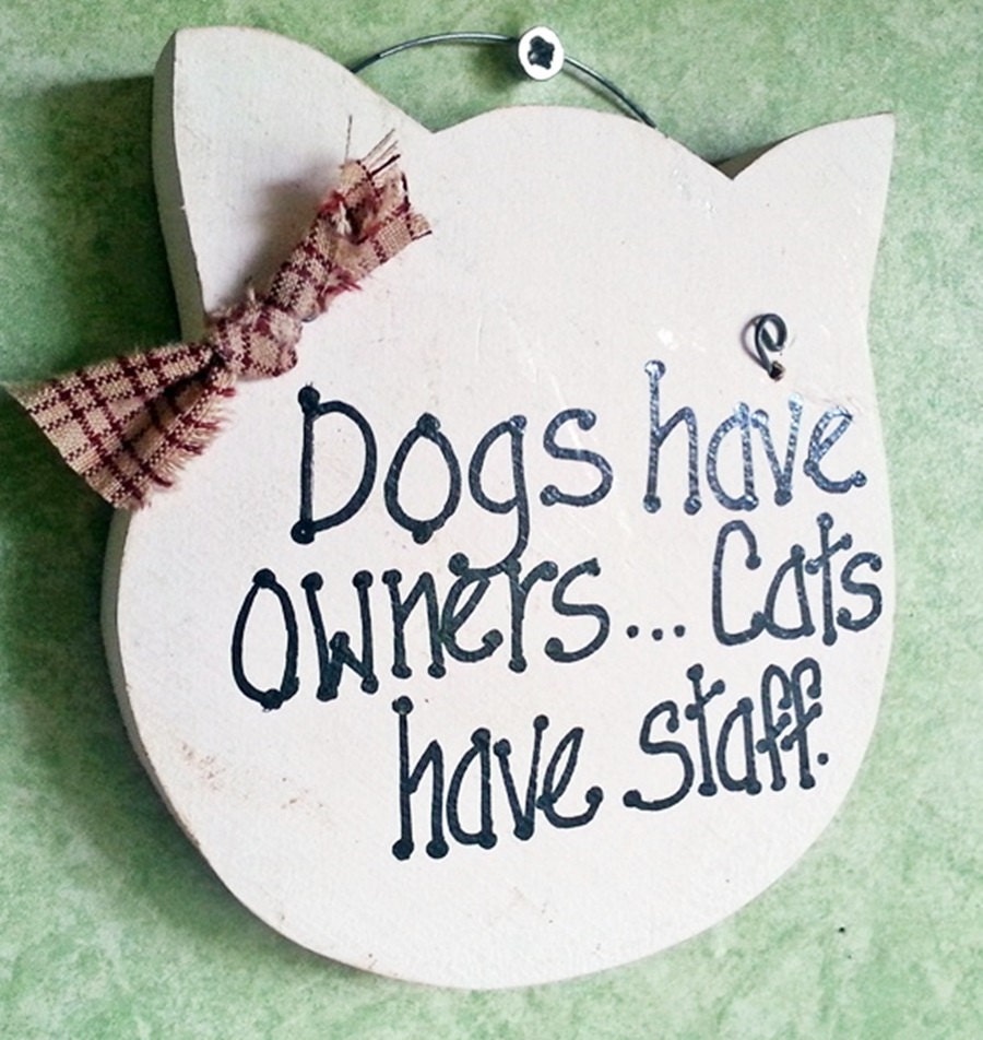 Items similar to Cat sign, Dogs have owners; cats have staff on Etsy