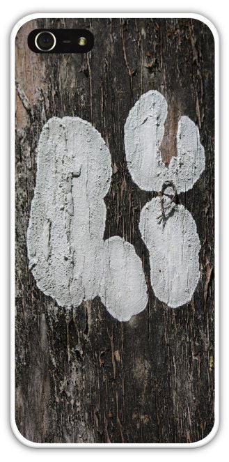 5.00 off SALE From 30 to 25 "Hi" Abstract Nature Photography - Forest Photography - Tree Photography - Wood  - Autumn Woods Photo - Humor - sinkingstone