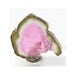 Watermelon Tourmaline Crystal Gem Slice Rubellite Core 3 carats