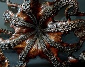 Bronze octopus sculpture or table by Kirk McGuire - KirkMcGuireSculpture