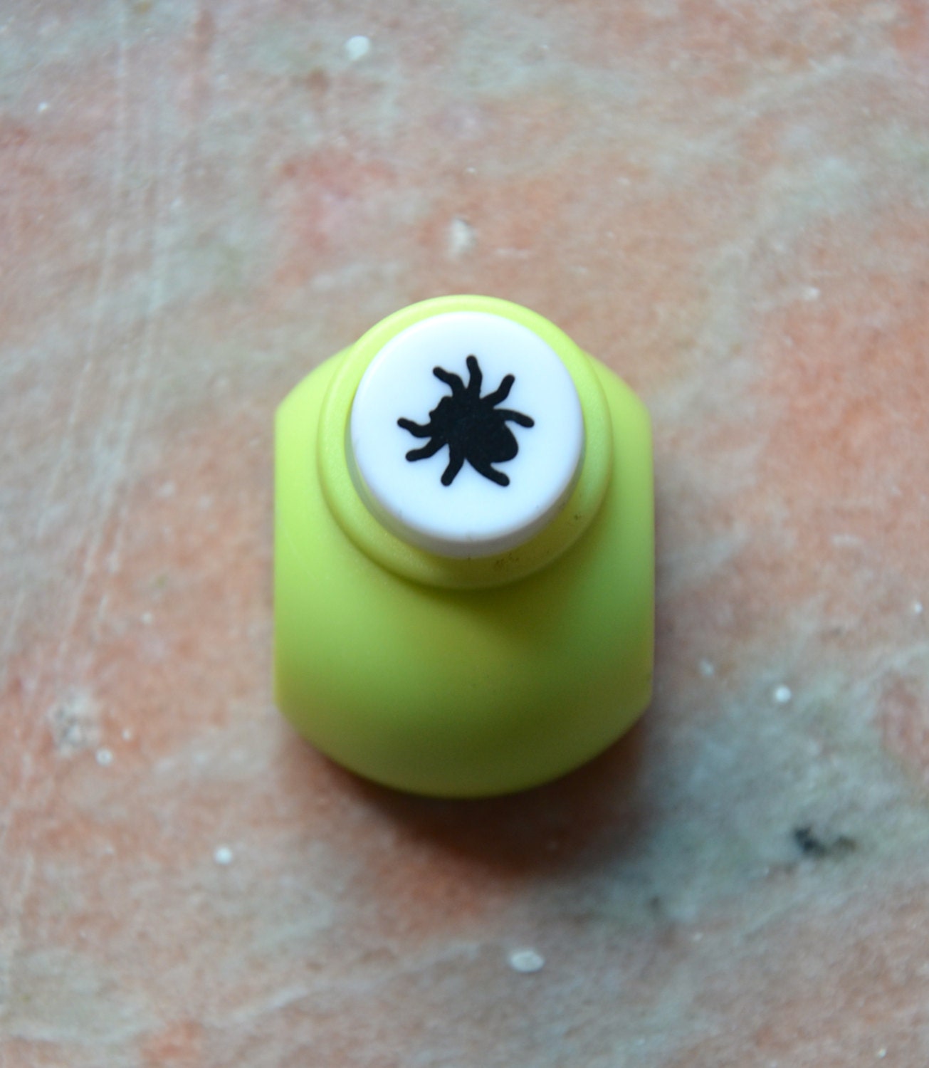 1/4" Spider Punch Design 1/4" Spider Punch Design