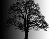Big Black Tree. original and affordable art.*NOW REDUCED  BY 50%* - PeterTheArtist