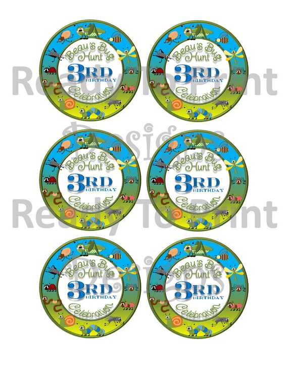 Boy Bug Party Mason Jar Labels - Insect party - Bug Hunt - 3" round label - Personalized With Name and Age - DIY Printable Party Decorations Il_570xn