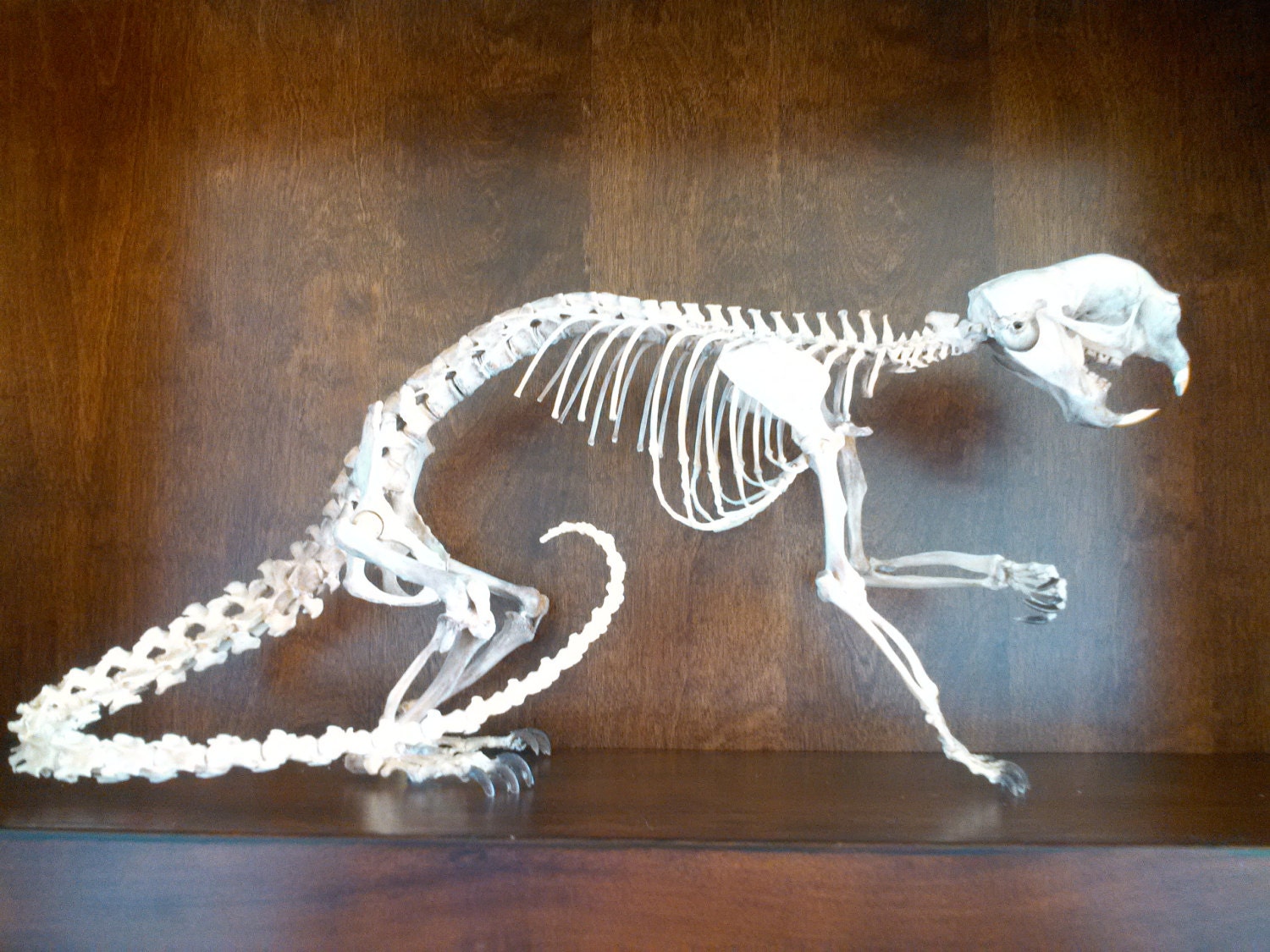 Unavailable Listing on Etsy