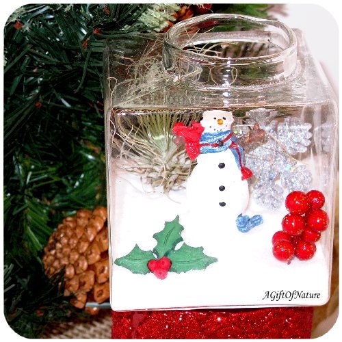 Frosty The Snowman Winter Snow Christmas Terrarium Air Plant Holder - Tillandsia Glass Cube~ Holiday Decor ~ Home Decor ~ Magical ~ Gift Il_570xn