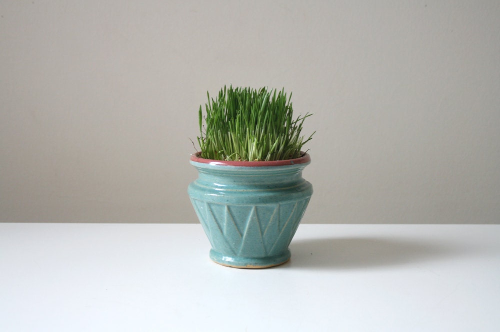 Teal Southwest Pot