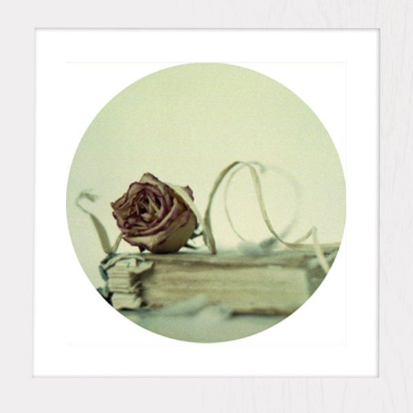 Shabby Chic Decor - Vintage Book and Rose - Bed Room Decor - Wall Art - Cottage Decor - Still Life 6x6 photography, pastel fall finds - GrainPixels