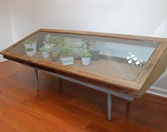 ... Display / Glass Terrarium Greenhouse / Countertop Retail Fixture