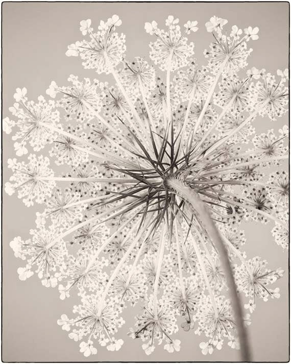 Unavailable Listing on Etsy