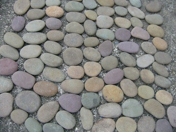 100 Flat River Rocks Large Lot Of 100 Creek Stones By Rocksisters