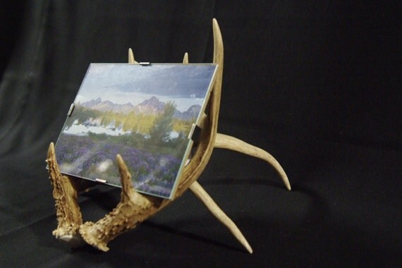 Antler Picture Frame Holder by thewoodsmanswife on Etsy