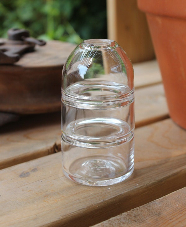 Items similar to Small Double Ring Clear Glass Bud Vase on Etsy