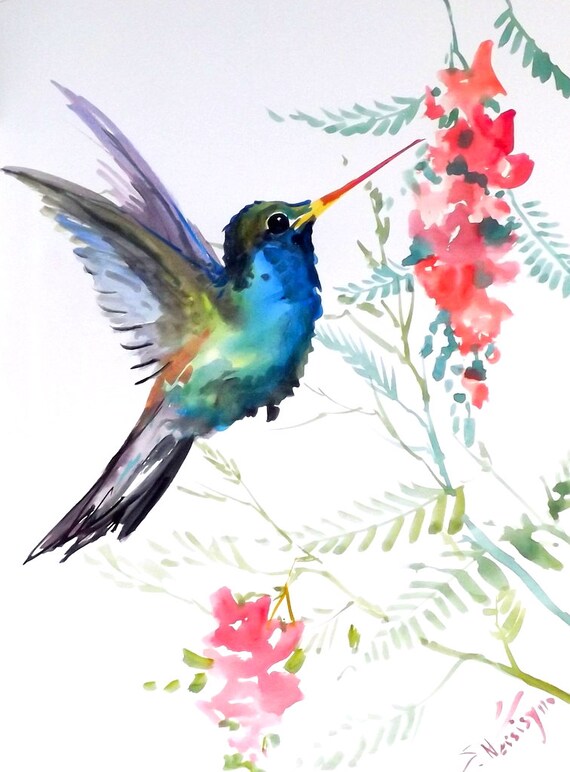 Hummingbird Original Watercolor Painting 12 X 9 In By ORIGINALONLY